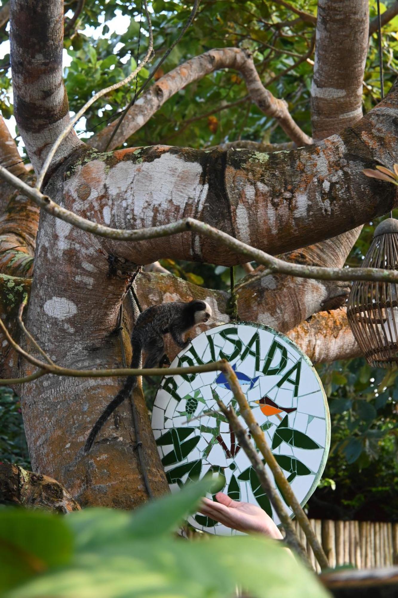 Pousada Habitat Caraíva Εξωτερικό φωτογραφία